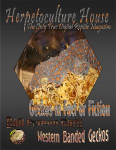 Herpetoculture-House-Issue Vol. 1 Issue 1